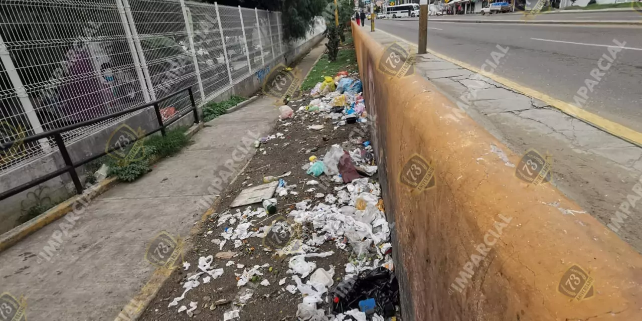 Campaña contra basura en Oaxaca de Juárez: autoridades recuerdan que tirar basura en la calle es falta cívica